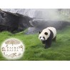 Pairi Daiza
