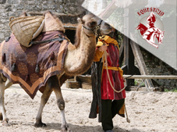 Provins - Equestrio