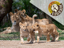 Reserve Africaine de Sigean