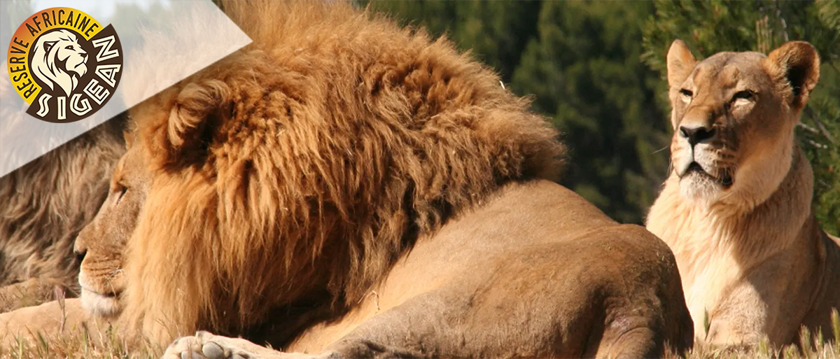 Reserve Africaine de Sigean